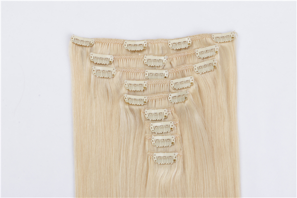Best Quality Clip in Human Hair Extensions JF019